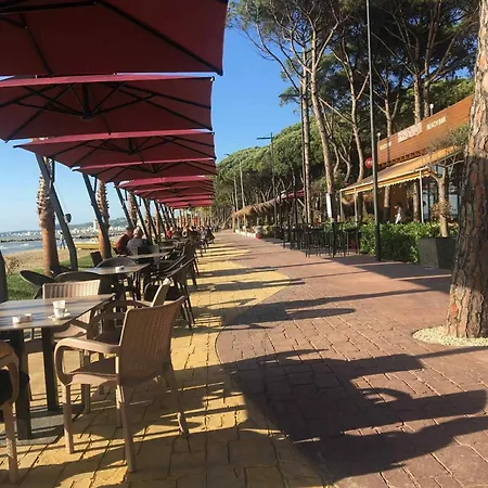 With Garden, Marea Resort, Golem, Qerret *