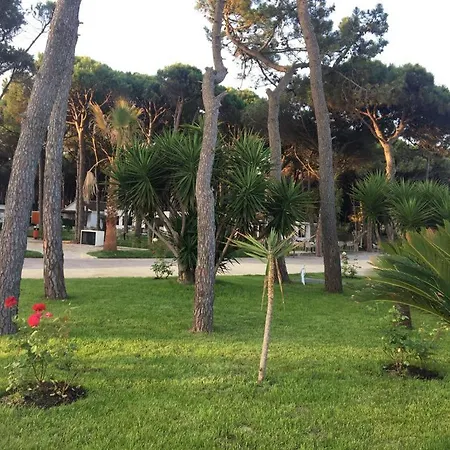 With Garden, Marea Resort, Golem, Qerret Apartment Golem (Tirana)